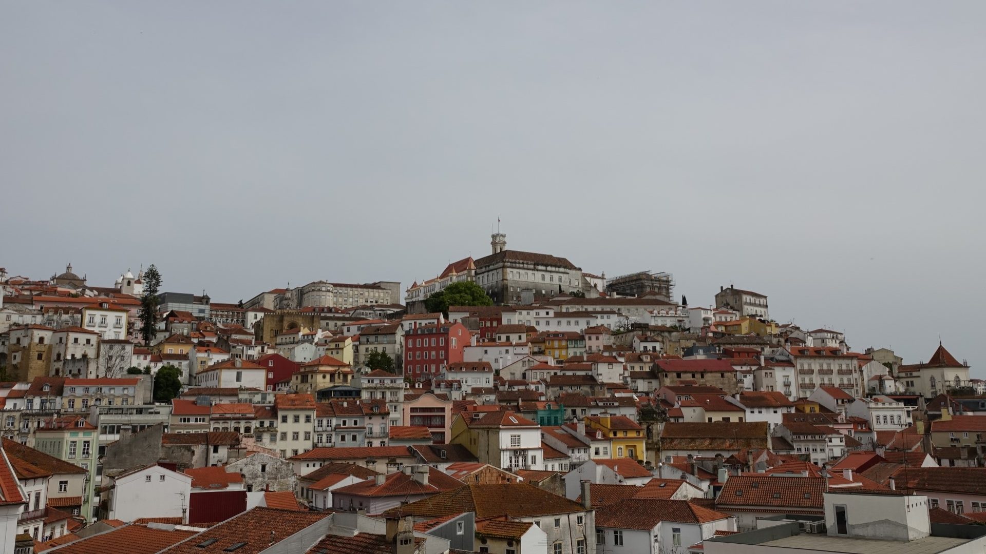 “Uma Mesa para os Avós” apoia população mais carenciada do Centro Histórico de Coimbra