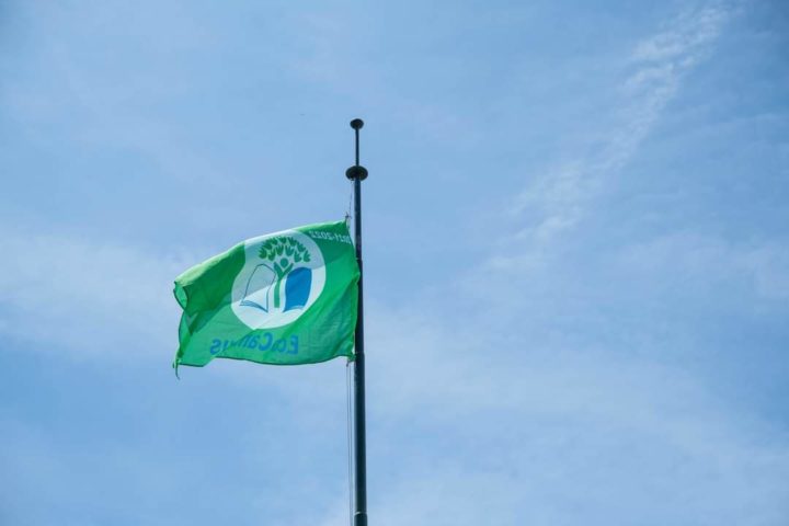 WhatsApp Image 2023-05-19 at 17.17.57