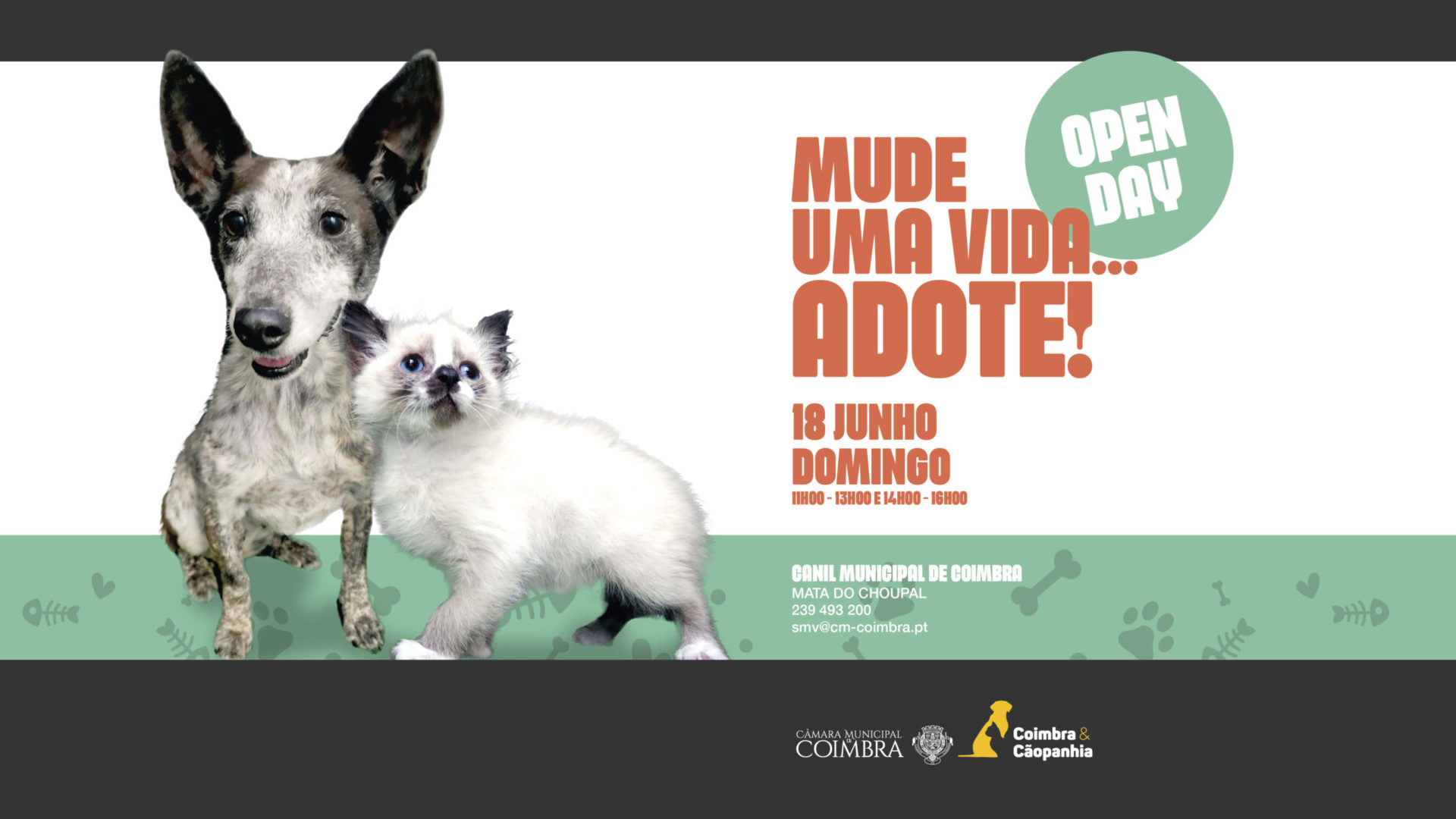 Domingo é dia de “Open Day” no Canil Municipal