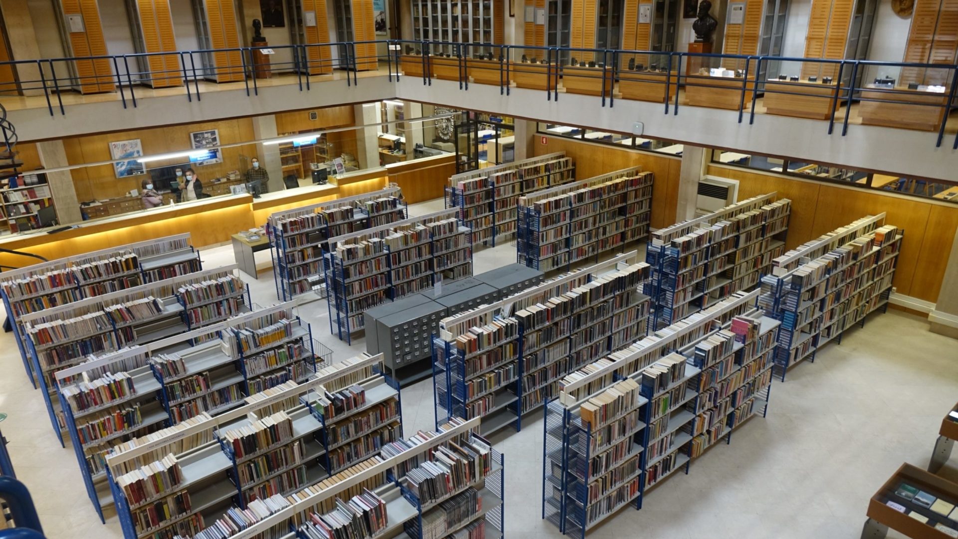 Biblioteca Municipal apresenta exposição sobre os casamentos da Rainha Santa Isabel