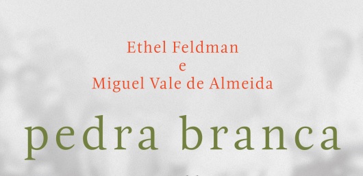 “Pedra Branca” vence Grande Prémio de Literatura Biográfica da APE e da CM Coimbra