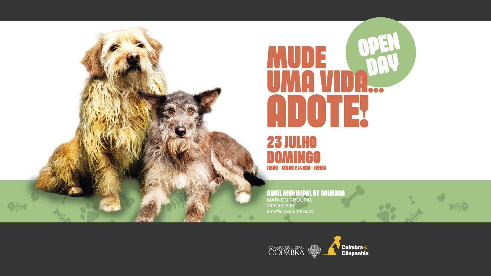 Canil Municipal de portas abertas no próximo domingo