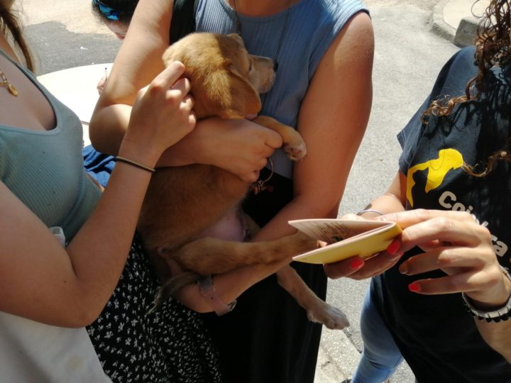 298241163_5633155496729788_5509565918356797110_n