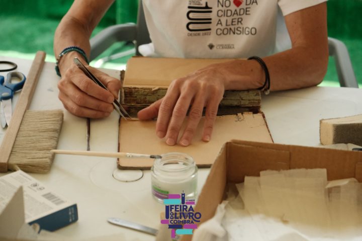 DSCF9336 (2) (Custom)