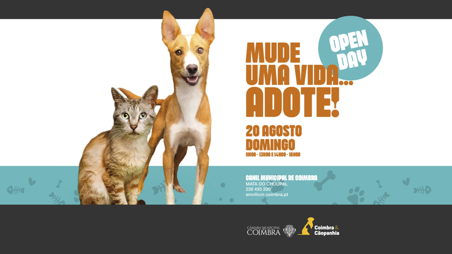 Canil Municipal de portas abertas no próximo domingo