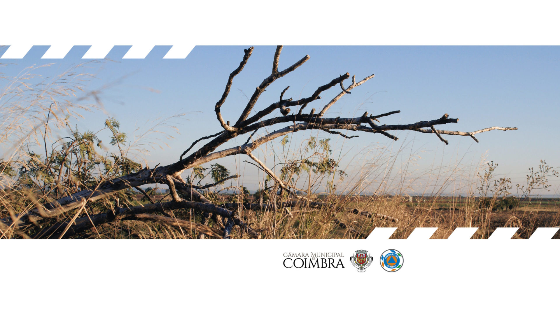 Aviso à população | Coimbra em risco muito elevado de incêndio rural