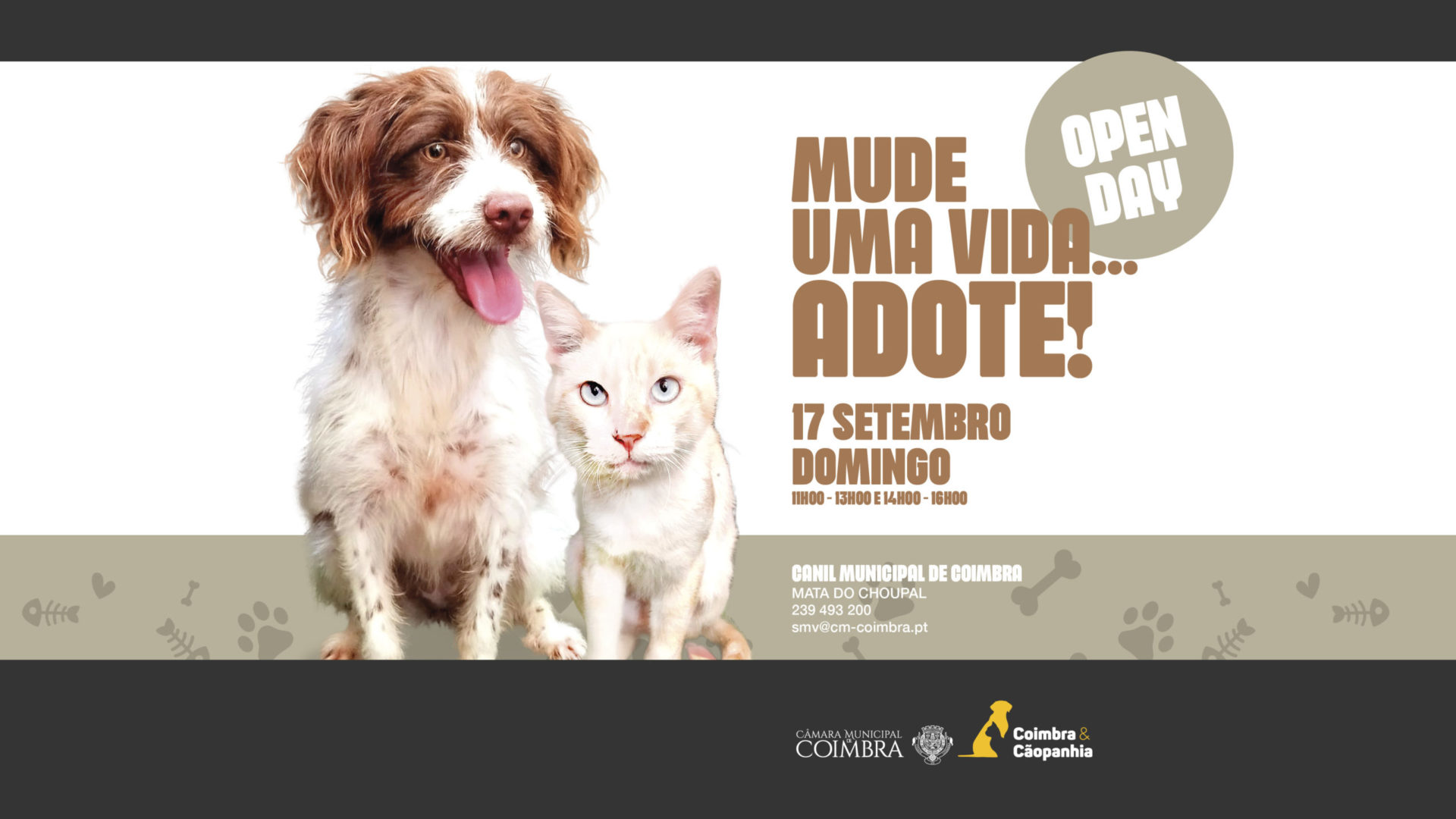 Canil Municipal com mais um “Open Day” no próximo domingo