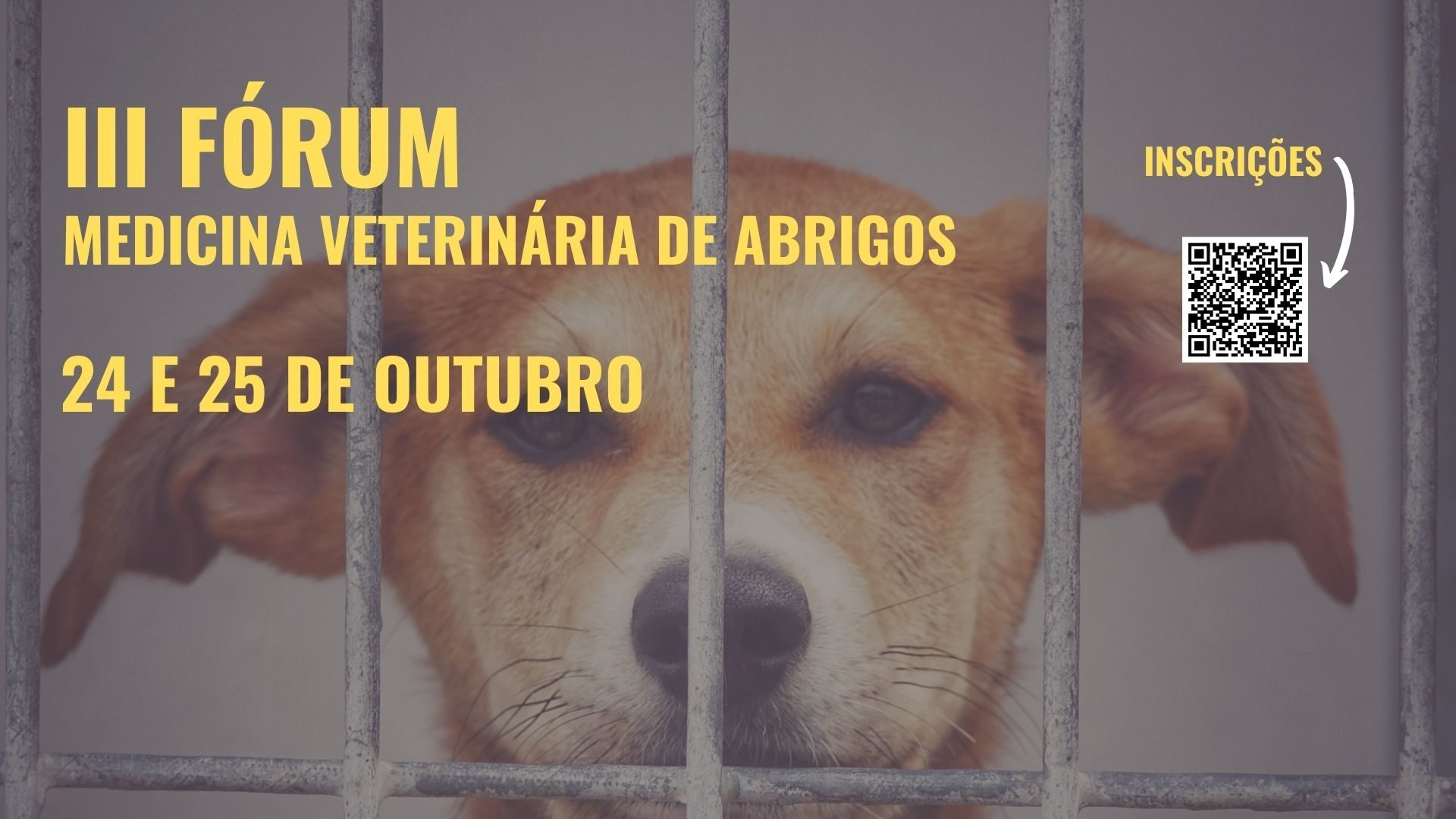 Fórum de Medicina Veterinária de Abrigos no Convento São Francisco a 24 e 25 de outubro