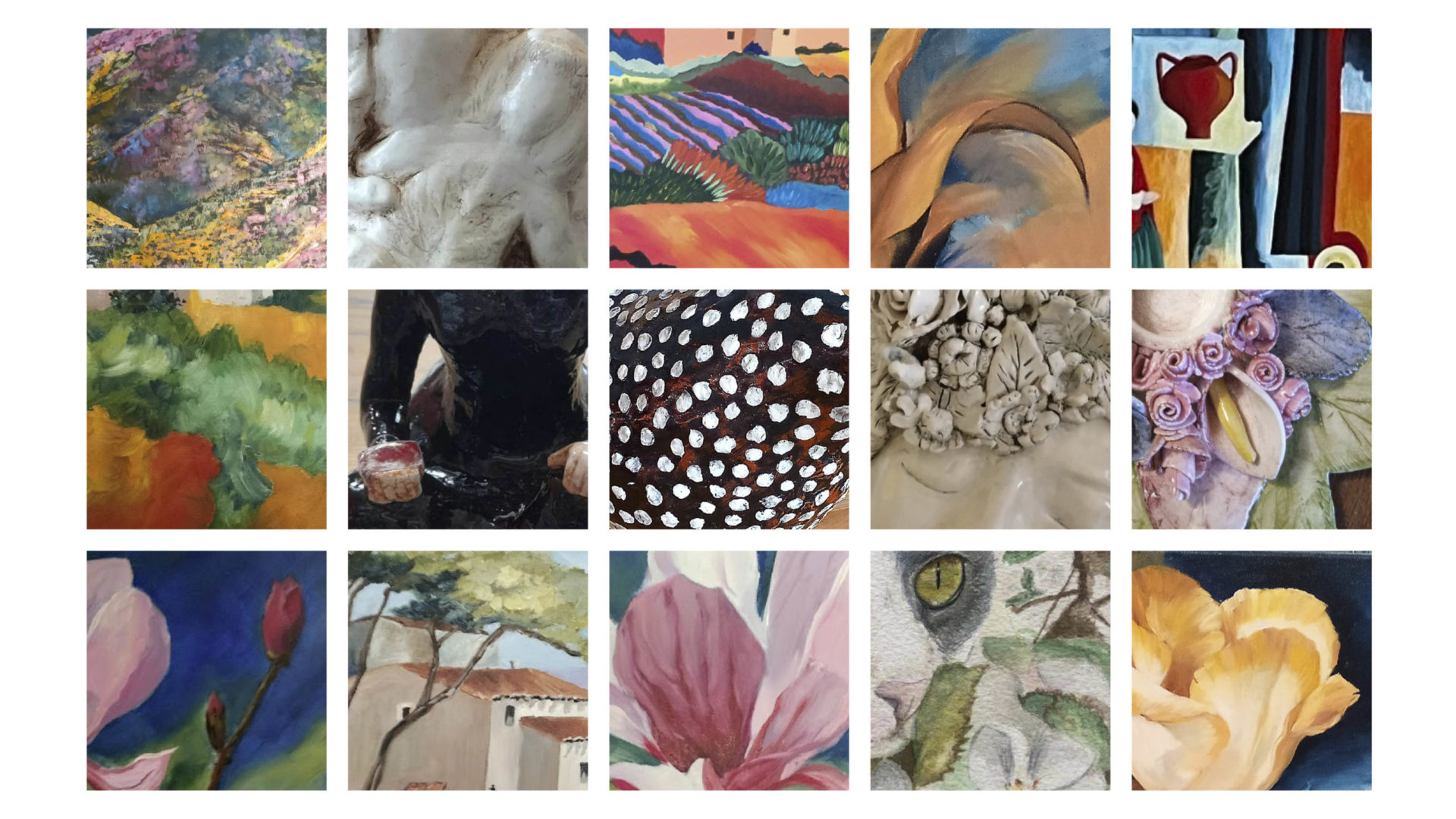 Galeria Almedina apresenta exposição “Formas e Cores na ASSP” a partir de amanhã