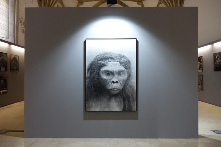 383226988_620085700302636_2561239933969835463_n