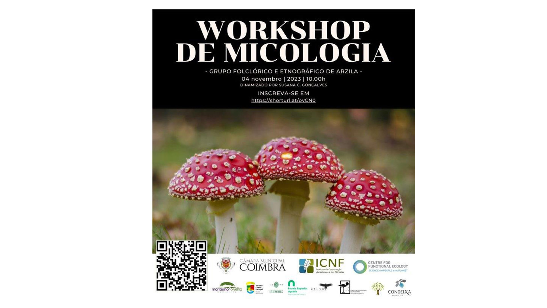 CM de Coimbra e Centro de Ecologia Funcional promovem atividade sobre cogumelos no próximo sábado