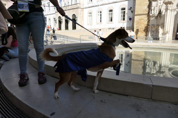 Mr & Mrs Rafeiro 15 (Personalizar)