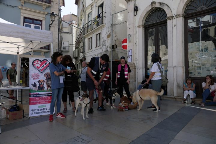 Mr & Mrs Rafeiro 16 (Personalizar)