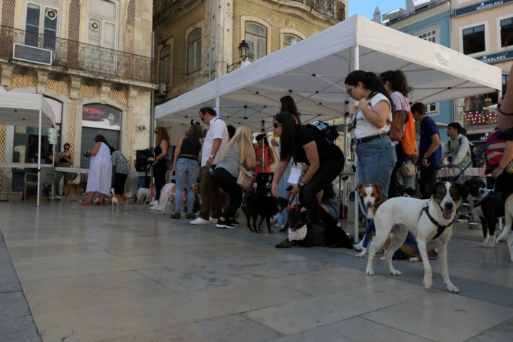 Mr & Mrs Rafeiro 19 (Personalizar)