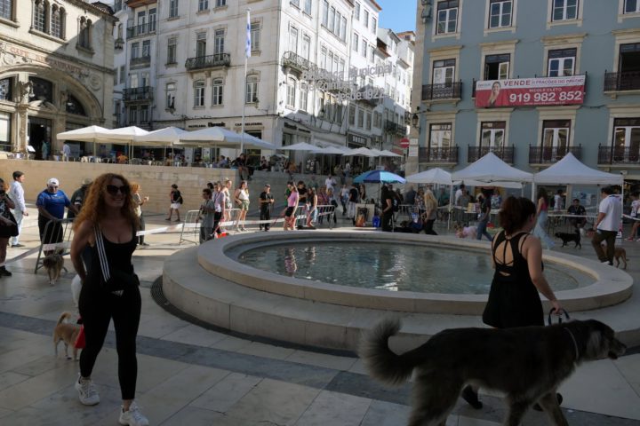 Mr & Mrs Rafeiro 28 (Personalizar)