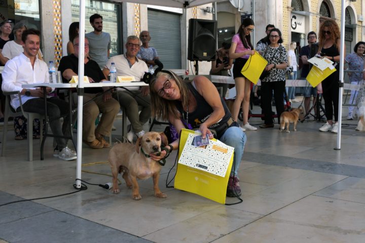 Mr & Mrs Rafeiro 34 (Personalizar)