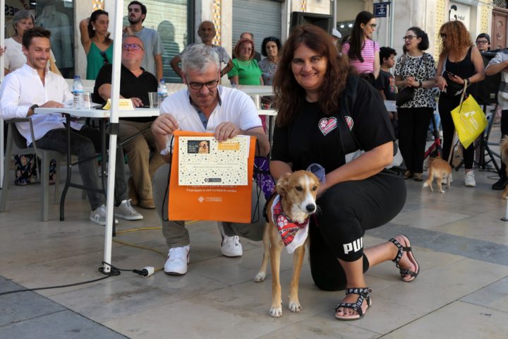 Mr & Mrs Rafeiro 41 (Personalizar)