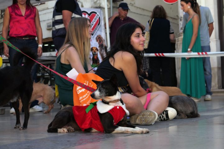 Mr & Mrs Rafeiro 48 (Personalizar)