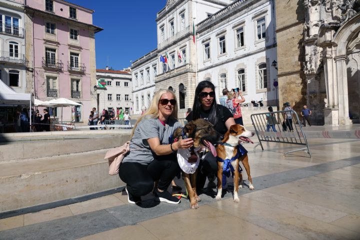 Mr & Mrs Rafeiro 6 (Personalizar)