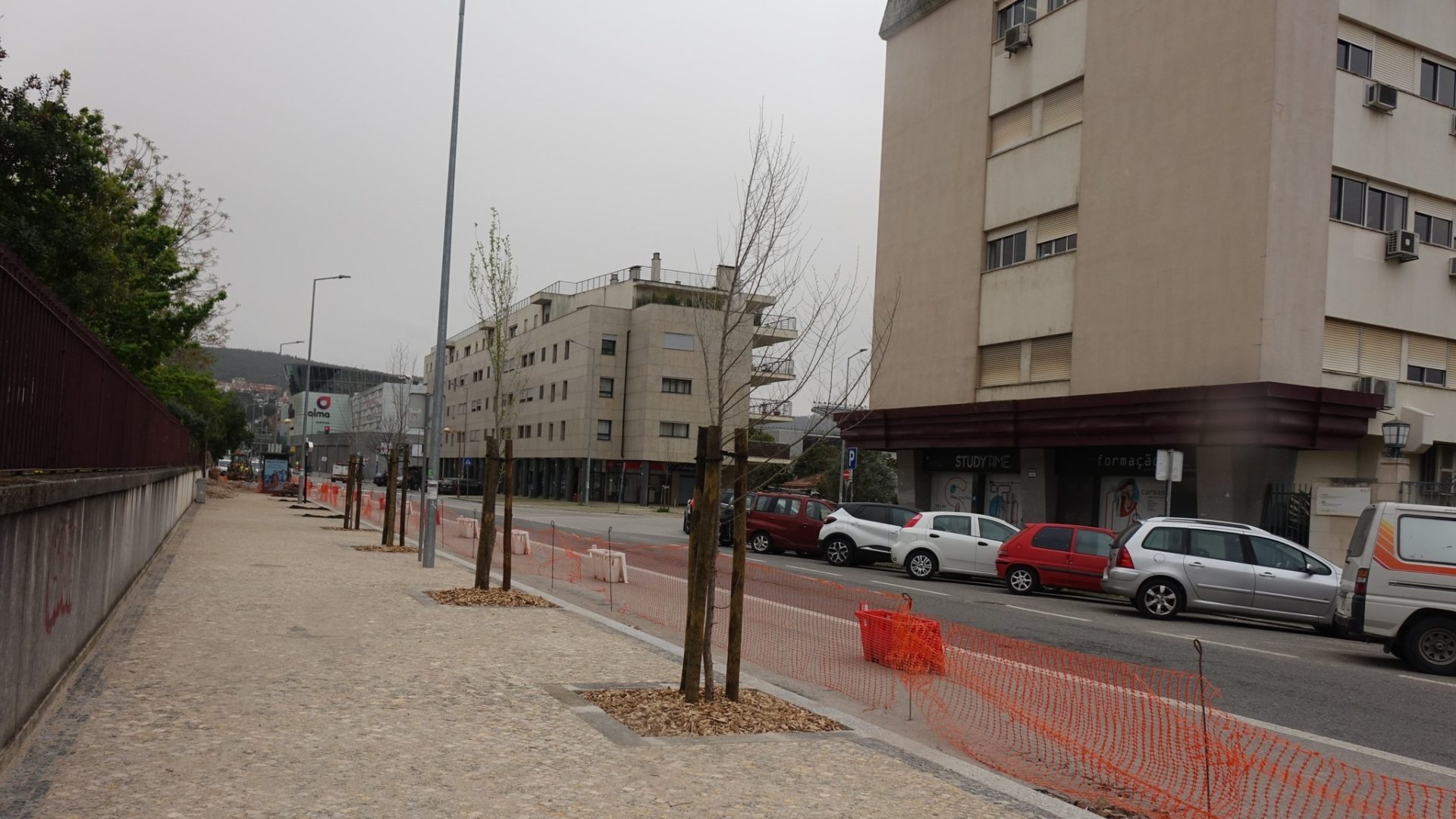 CM de Coimbra altera projeto do Metrobus na Solum para preservar árvores na Rua General Humberto Delgado