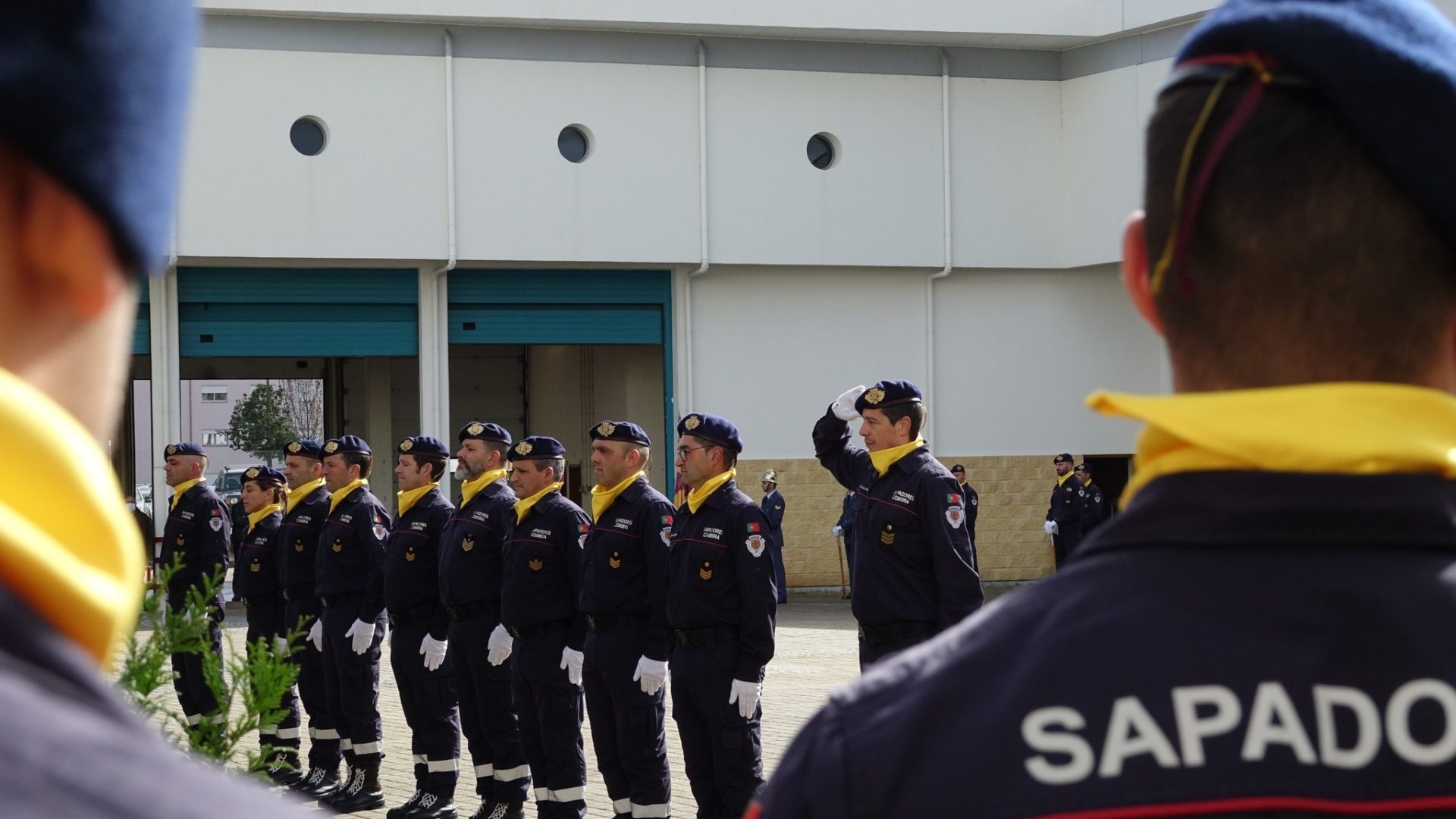 CM de Coimbra debate protocolo para prevenção de incêndios florestais nas CIM de Viseu Dão Lafões e Coimbra