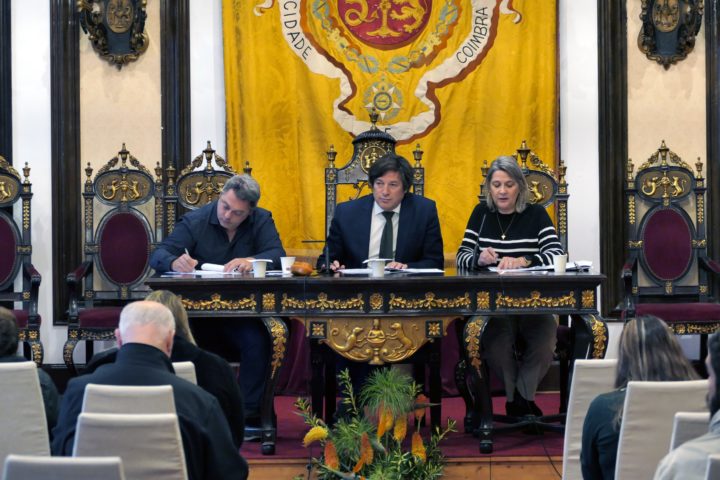 Hasta pública MMDPV 4 (Personalizar)