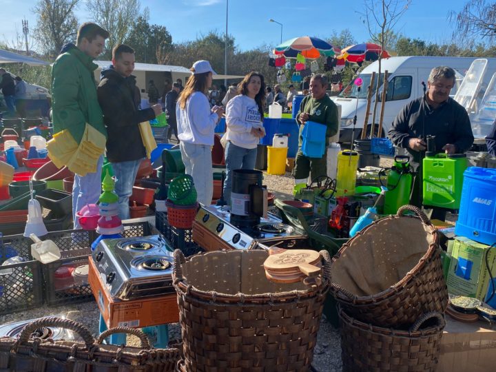 Imagem WhatsApp 2023-11-23 às 16.54.45_1d2de44d