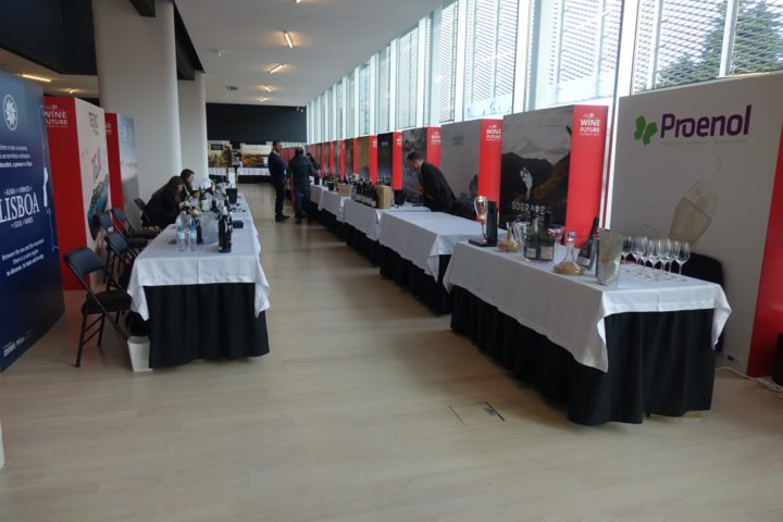 International Wine Future (11)