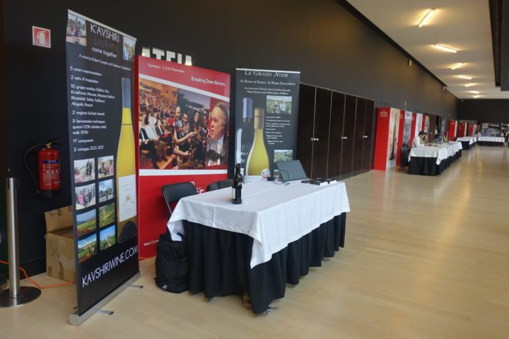 International Wine Future (12)