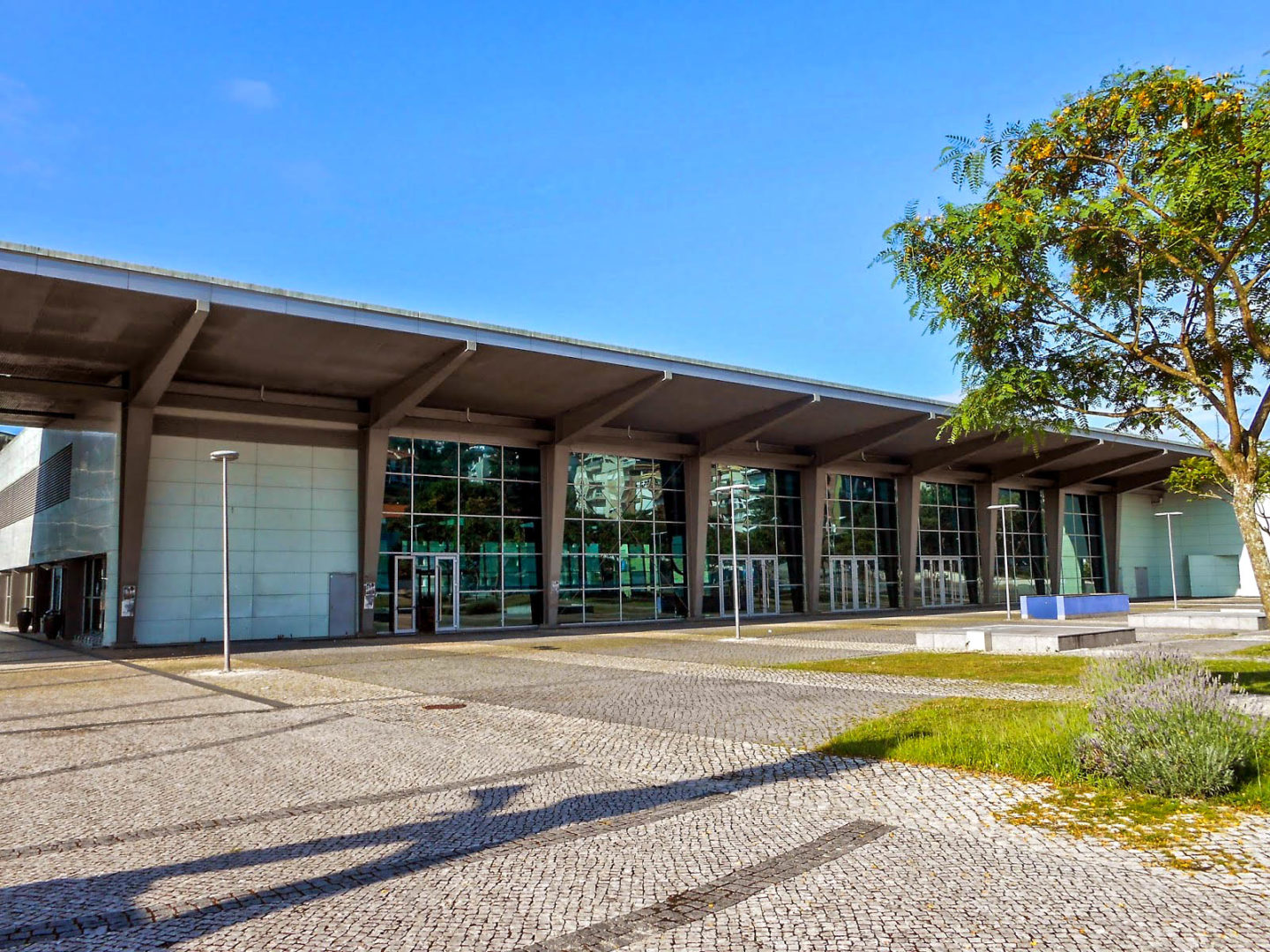 Coimbra recebe jogo de futsal entre Portugal e a Finlândia de apuramento para o Mundial
