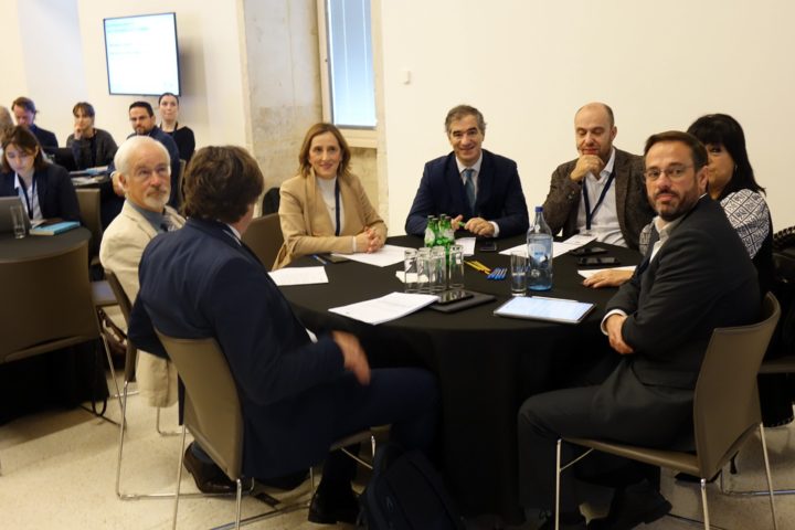 Peer Review in Coimbra (6)