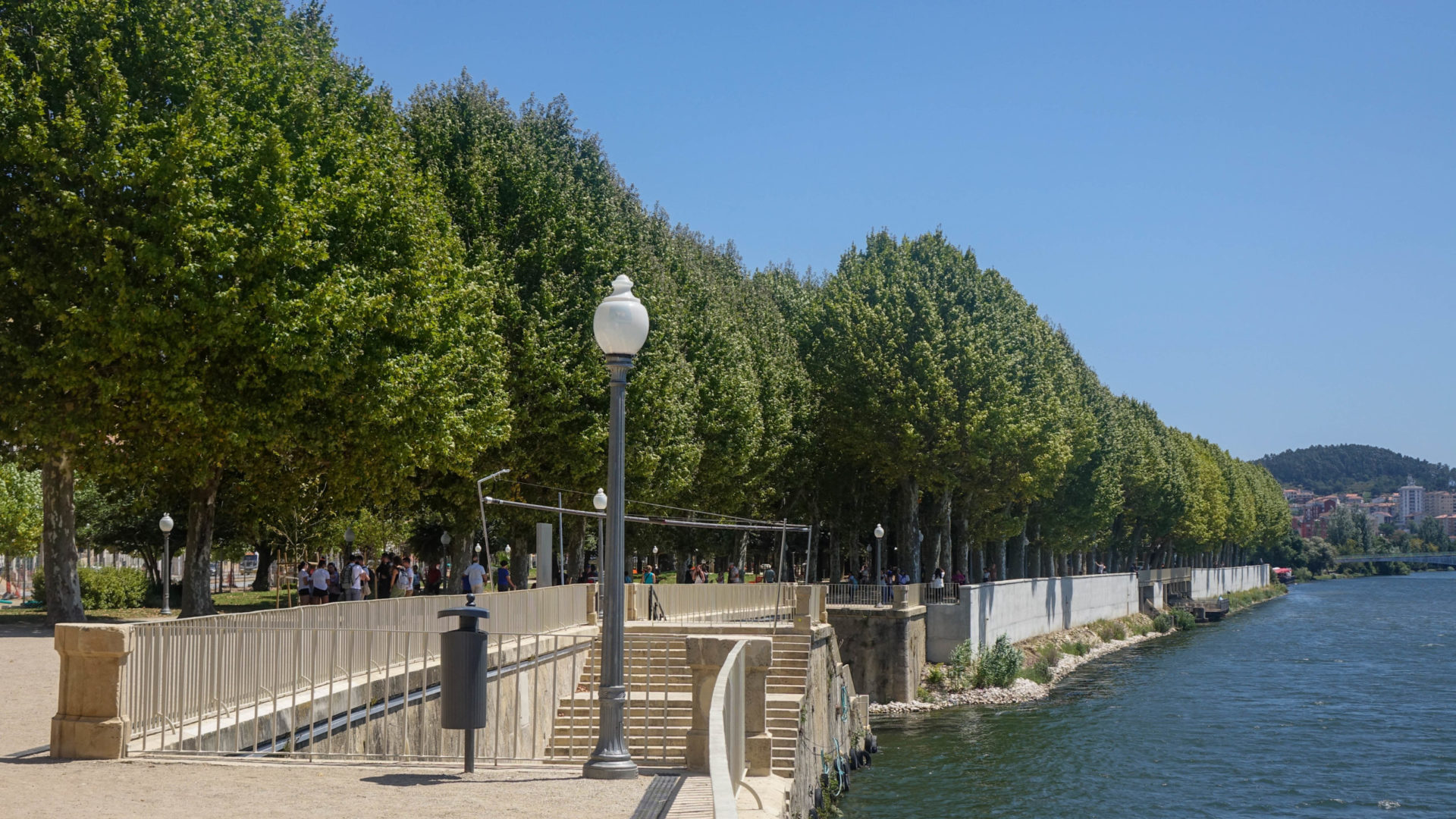 Regulamento Municipal de Gestão do Arvoredo em Meio Urbano vai para consulta pública