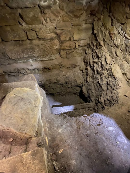 WhatsApp Image 2023-11-17 at 17.46.37 (2)