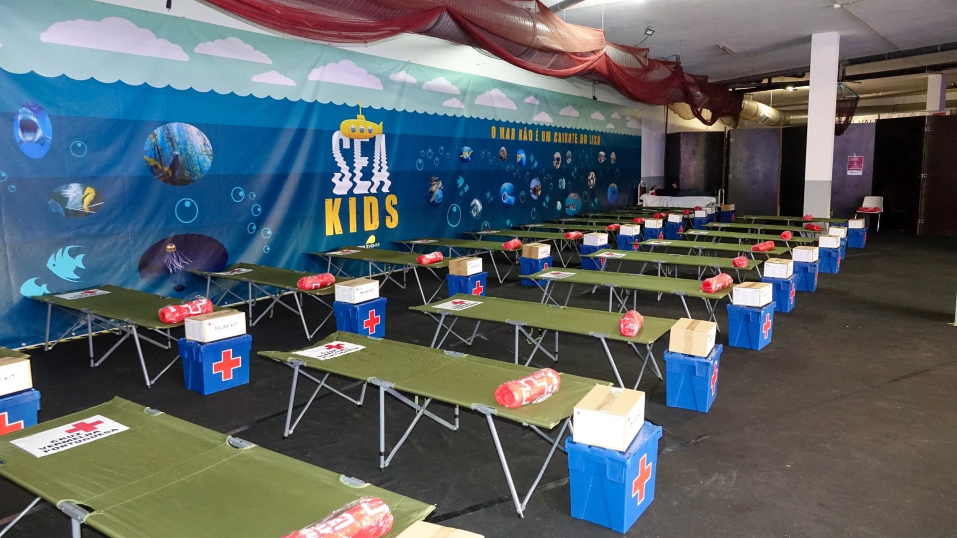 CM de Coimbra apoia projeto da Cruz Vermelha de integração de crianças migrantes com 10 mil euros