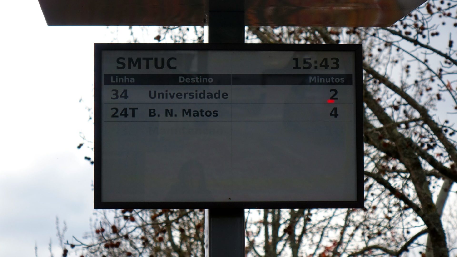 SMTUC com alterações de funcionamento devido às férias escolares de Natal