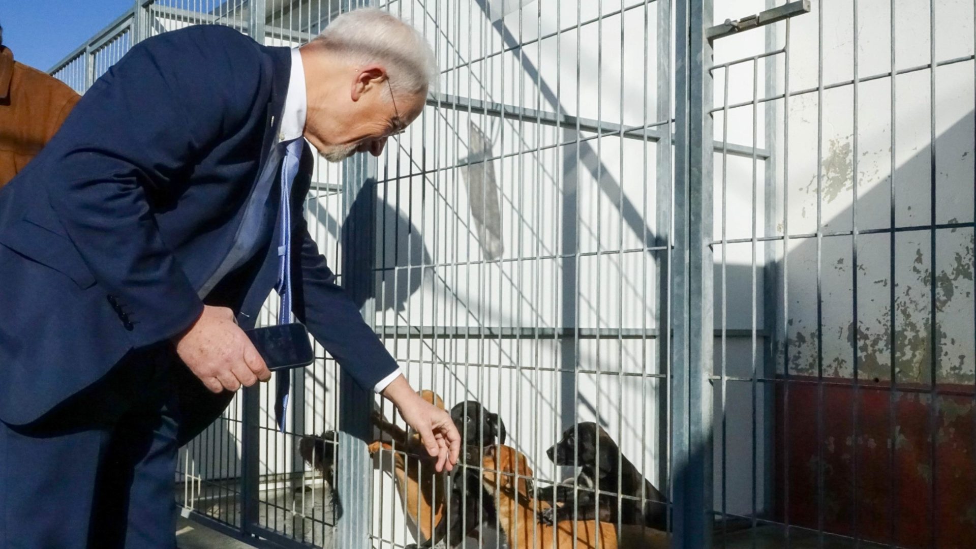 Visita de reconhecimento e de sensibilização ao Canil Municipal