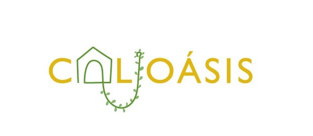 CM de Coimbra parceira da Associação Calioásis para ajudar crianças com doenças crónicas complexas