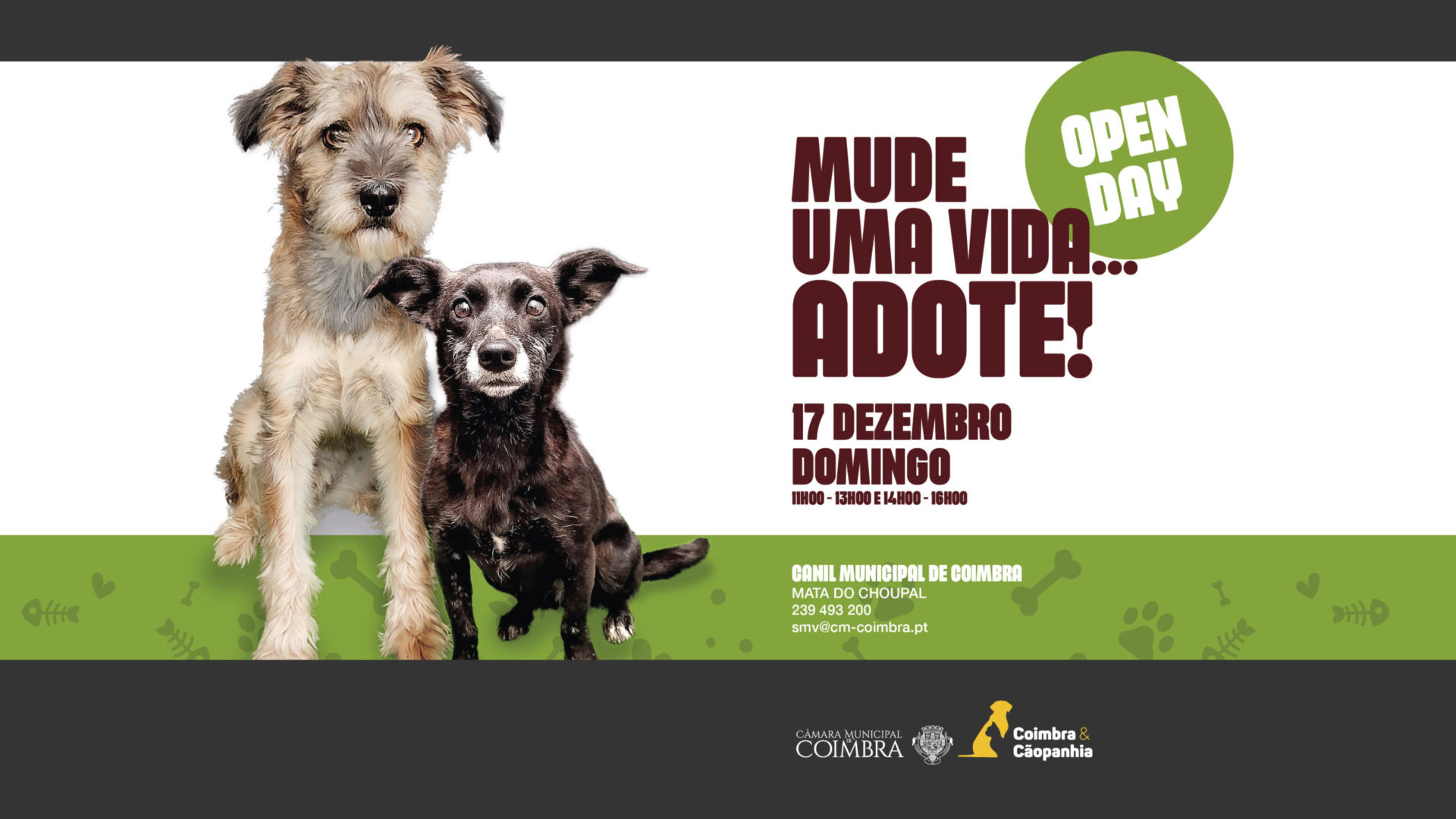 Canil Municipal promove novo “Open Day” no dia 17 de dezembro