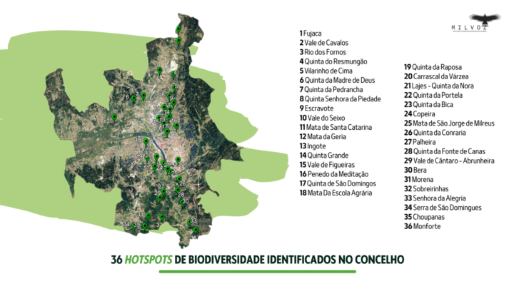 36hotspotsidentificados