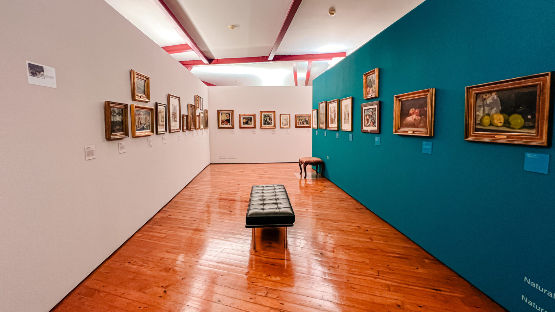 Museu Municipal apresenta novas atividades para os mais novos e celebra São Valentim