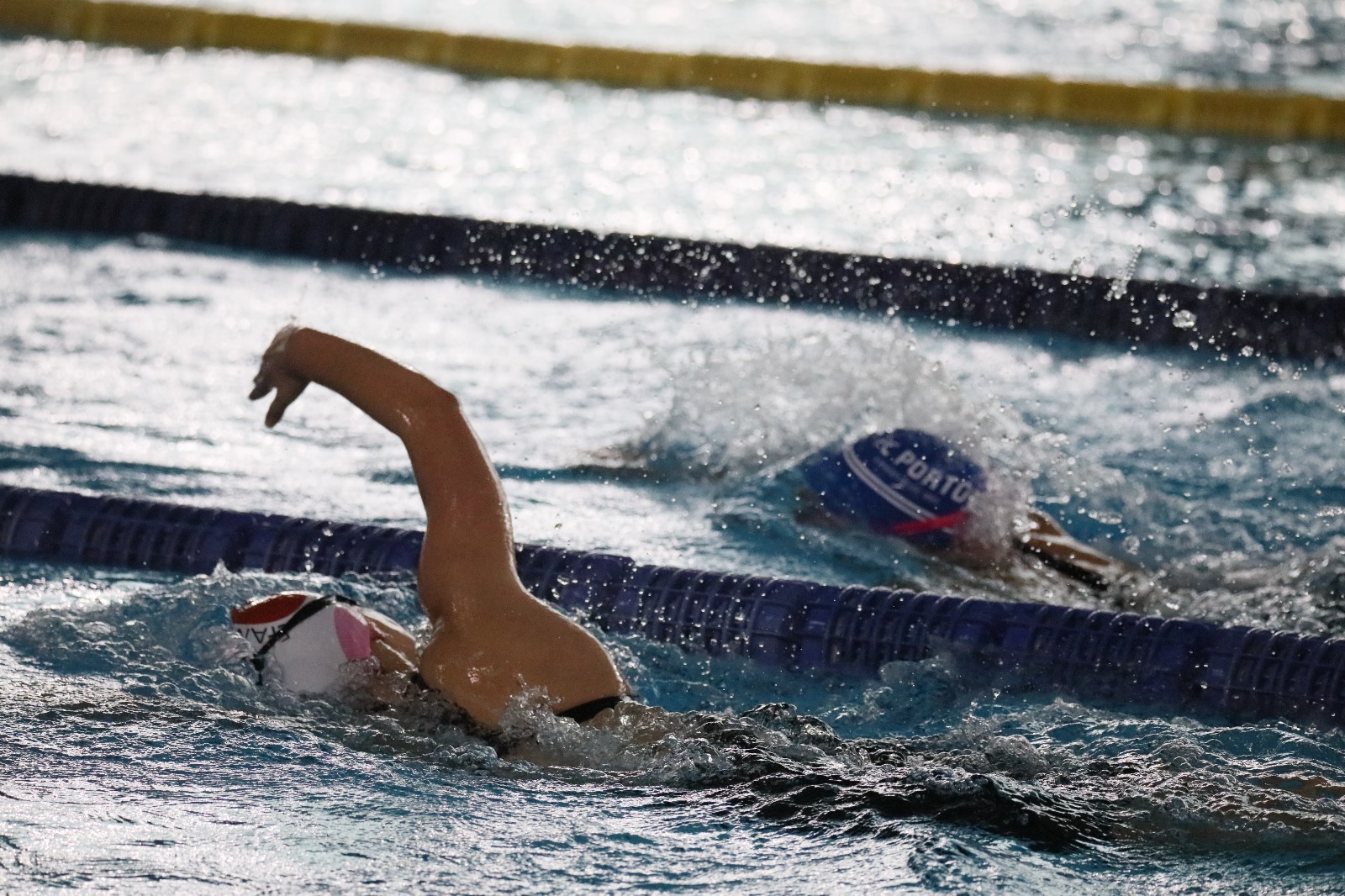 Taça de Meio-Fundo em Natação realiza-se este fim de semana em Coimbra