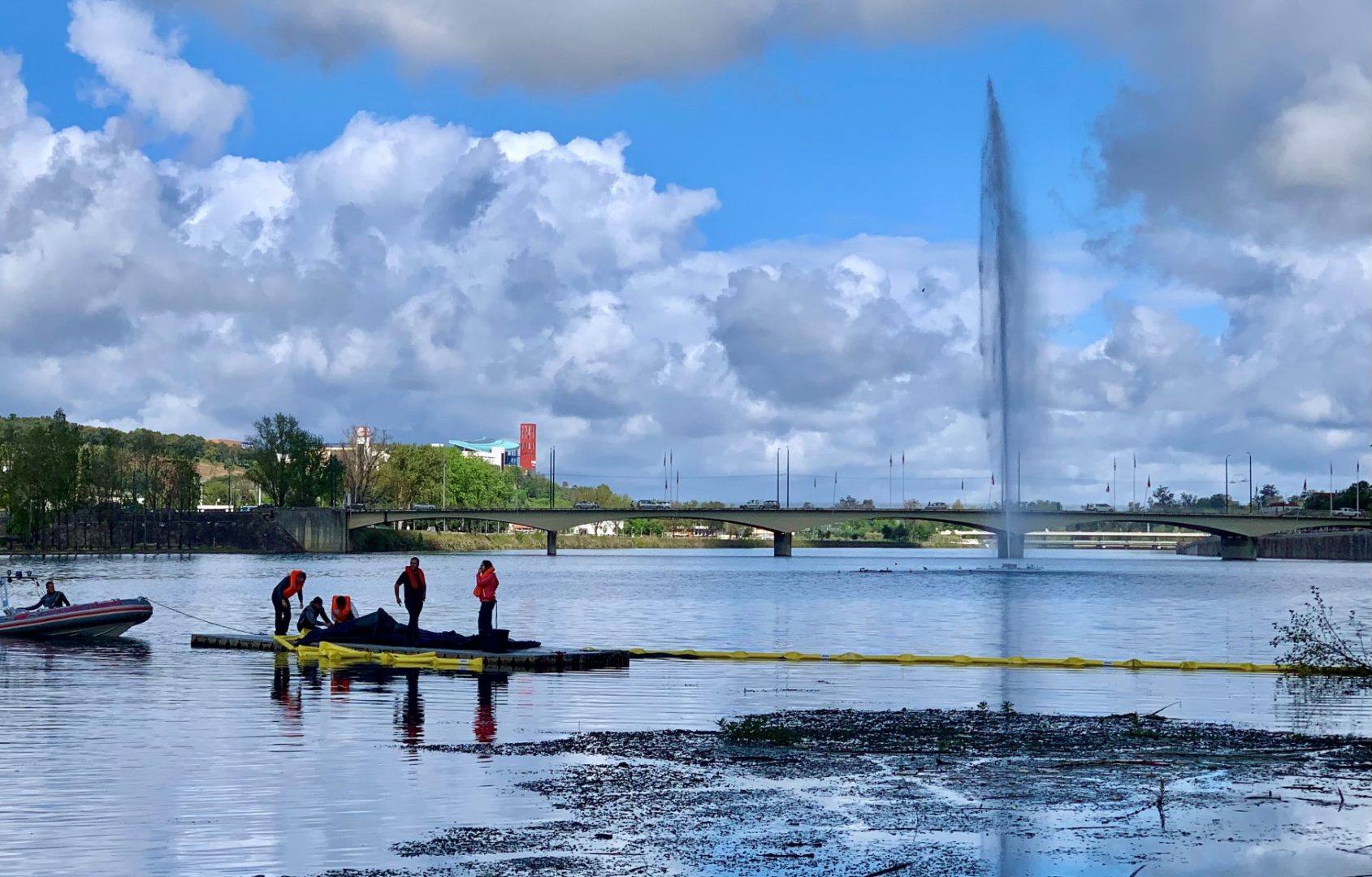 Operação de remoção de Jacintos de Água na albufeira do Açude Ponte