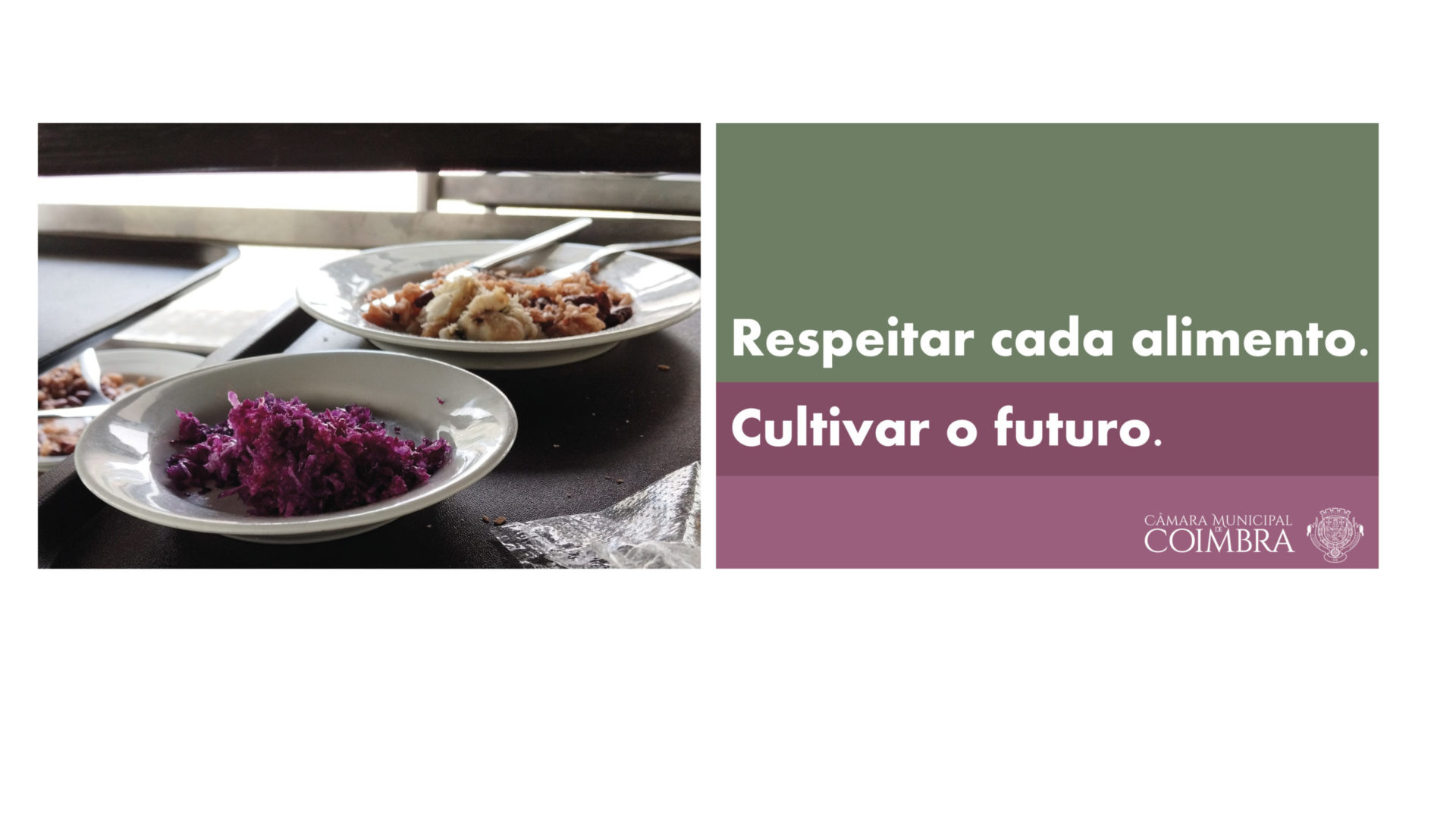 Câmara promove projeto de combate ao desperdício e promoção de alimentação saudável na Quinta das Flores