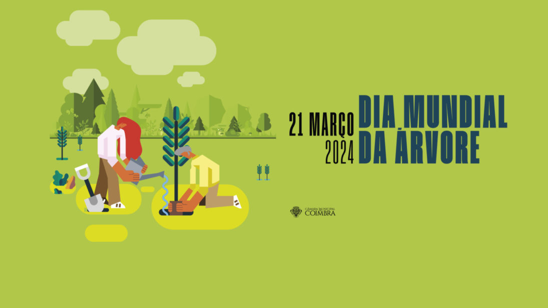 CM de Coimbra assinala Dia Mundial da Árvore com várias iniciativas