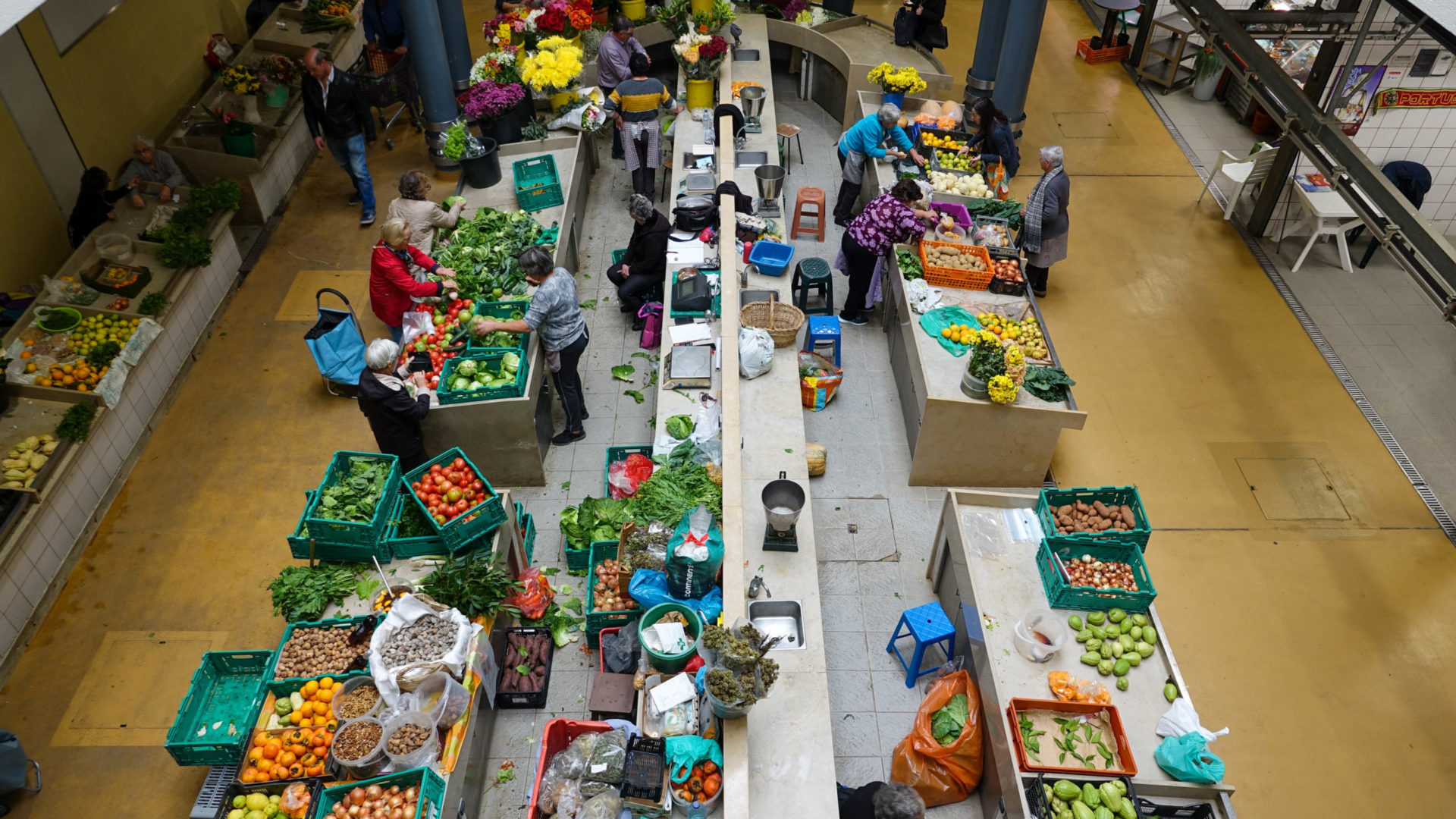 36 espaços de venda no Mercado Municipal D. Pedro V em hasta pública a 10 de abril