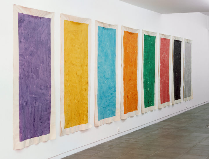 Ana Cardoso_ _Col Norlinda e Jose Lima