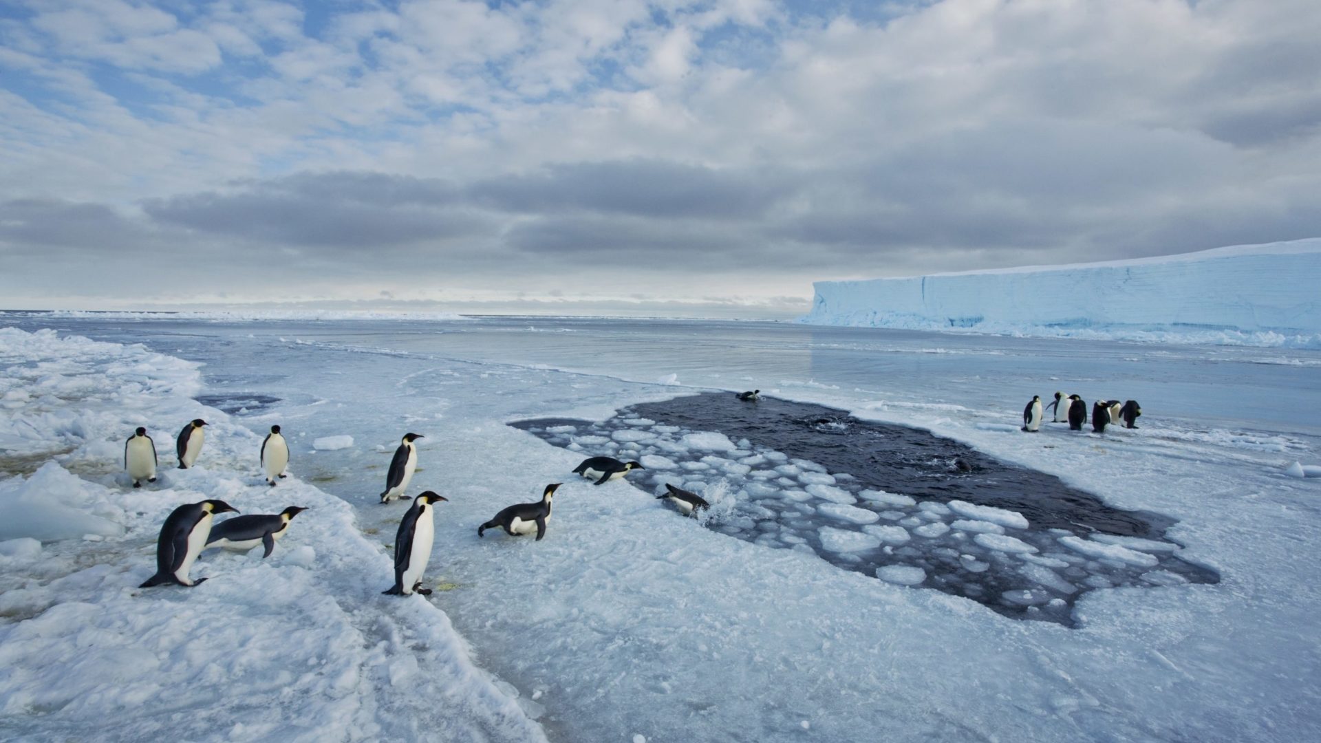Praça da República acolhe exposição sobre os grandes paraísos naturais a partir de 9 de abril