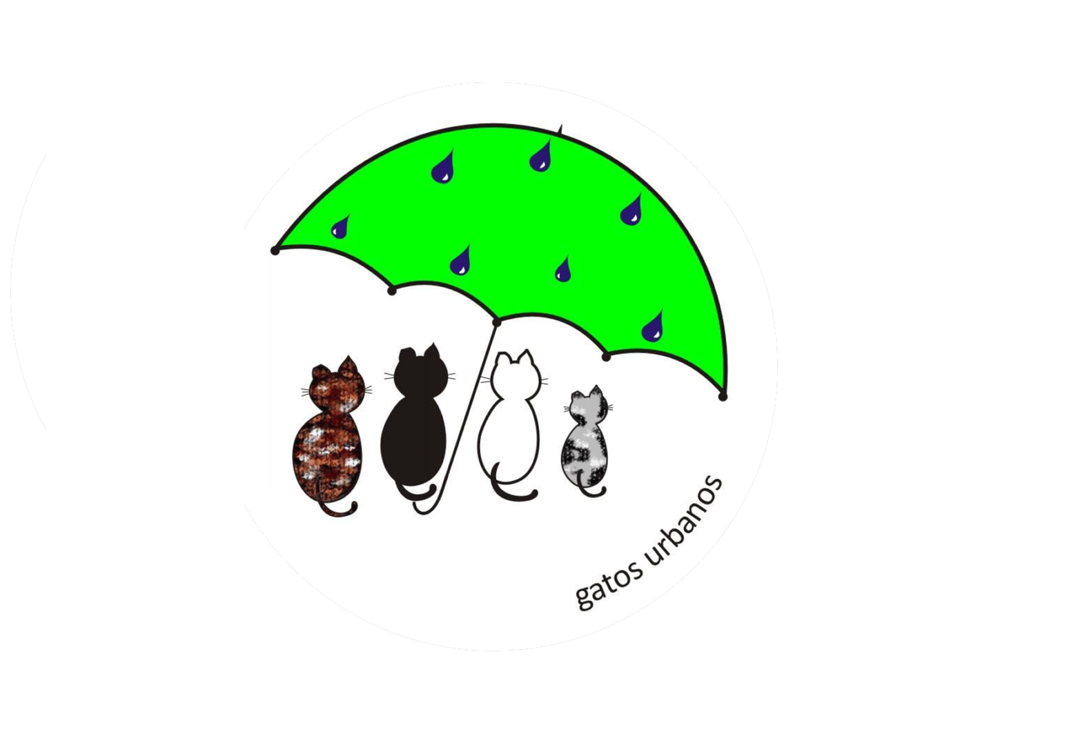 Executivo reconhece utilidade pública da Associação Gatos Urbanos