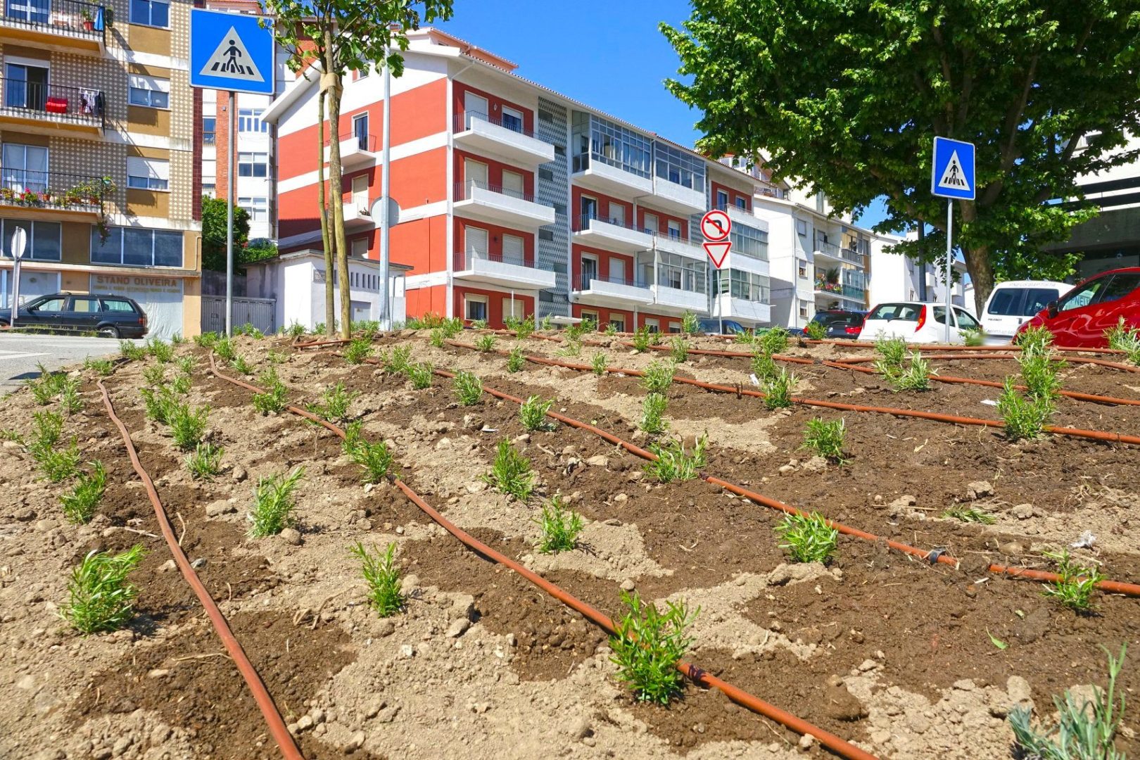 Plano de contingência na rega de espaços verdes fez cair consumo em 30% e permitiu poupança de cerca de 100 mil euros