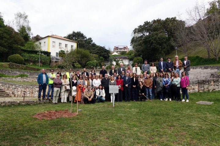 Plantação de 34 Sobreiros na Quinta de São Jerónimo 0 (Personalizar)